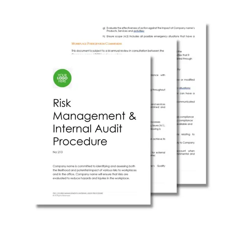 Risk Management and Internal Audit Procedure 213 document preview