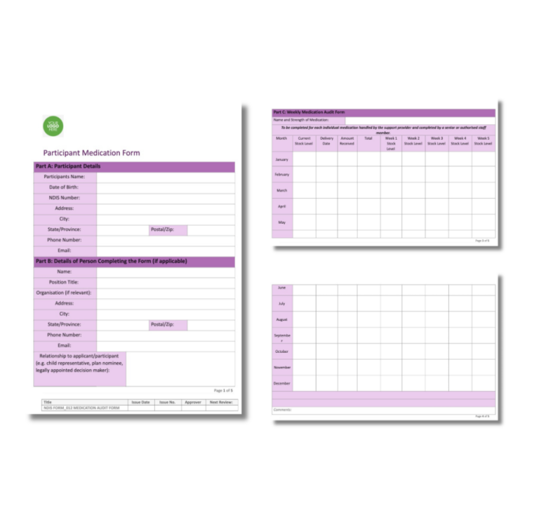 Medication Audit Form